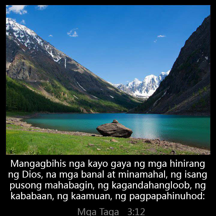 All Grace Abound tweet media