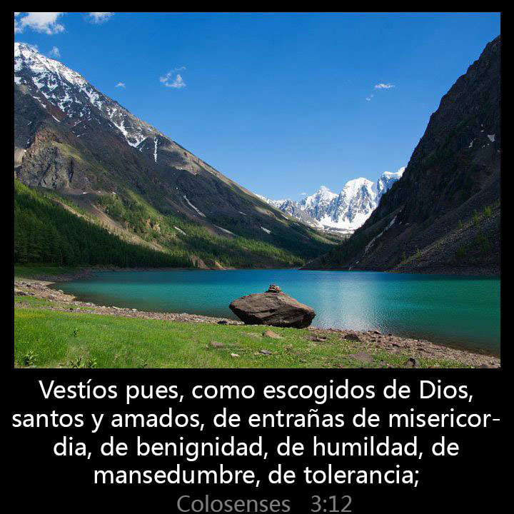 All Grace Abound tweet media