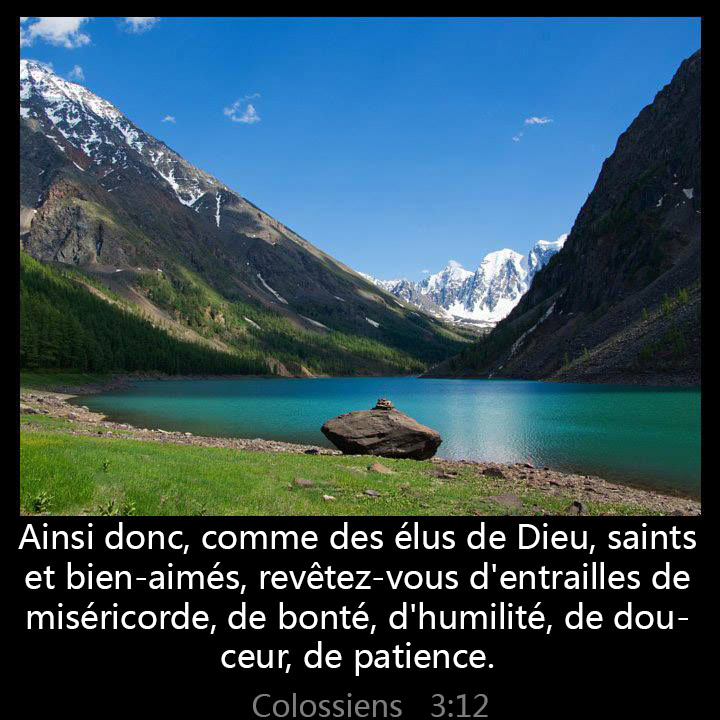 All Grace Abound tweet media