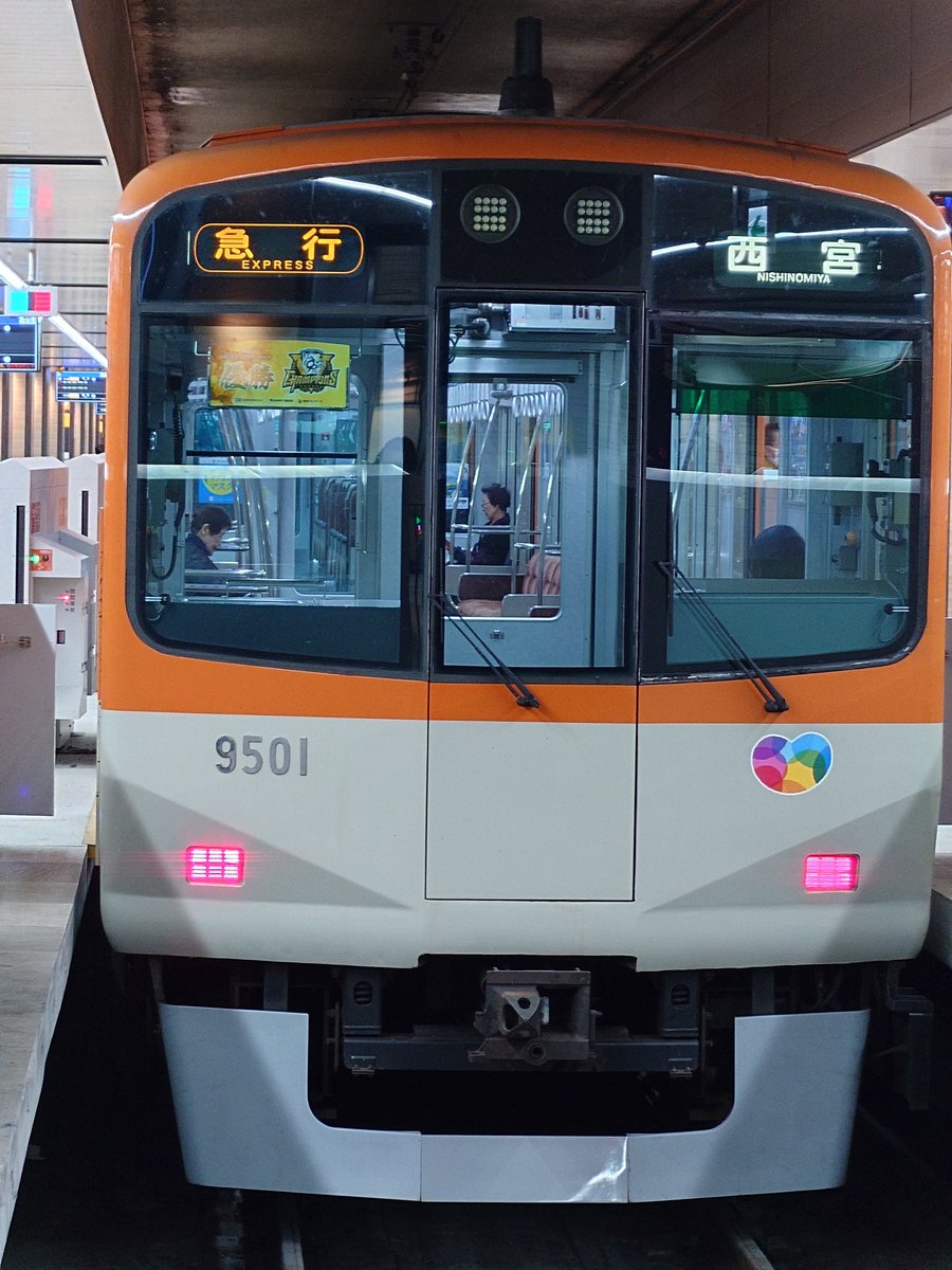 まりもです。 まりも on X