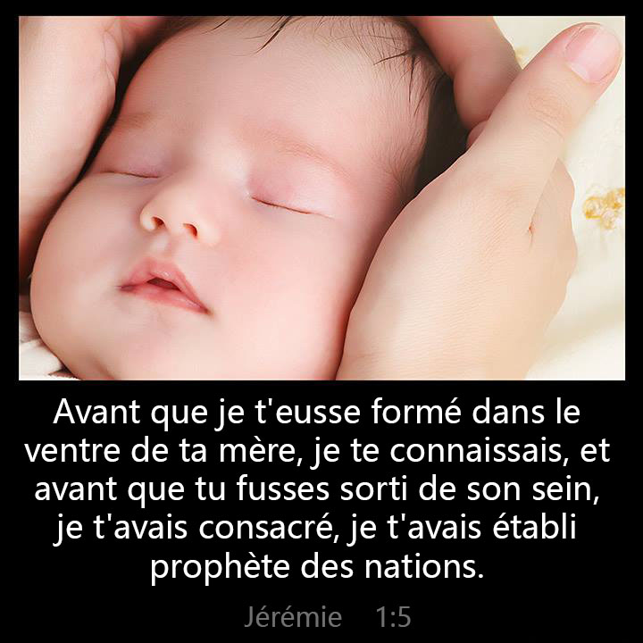 All Grace Abound tweet media