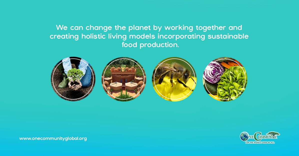 Together, we can transform the planet with sustainable living and holistic food production. 🌍🌱
#Sustainability #GreenLiving #EcoFriendly #RegenerativeAgriculture #OneCommunity