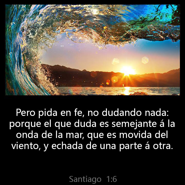 All Grace Abound tweet media