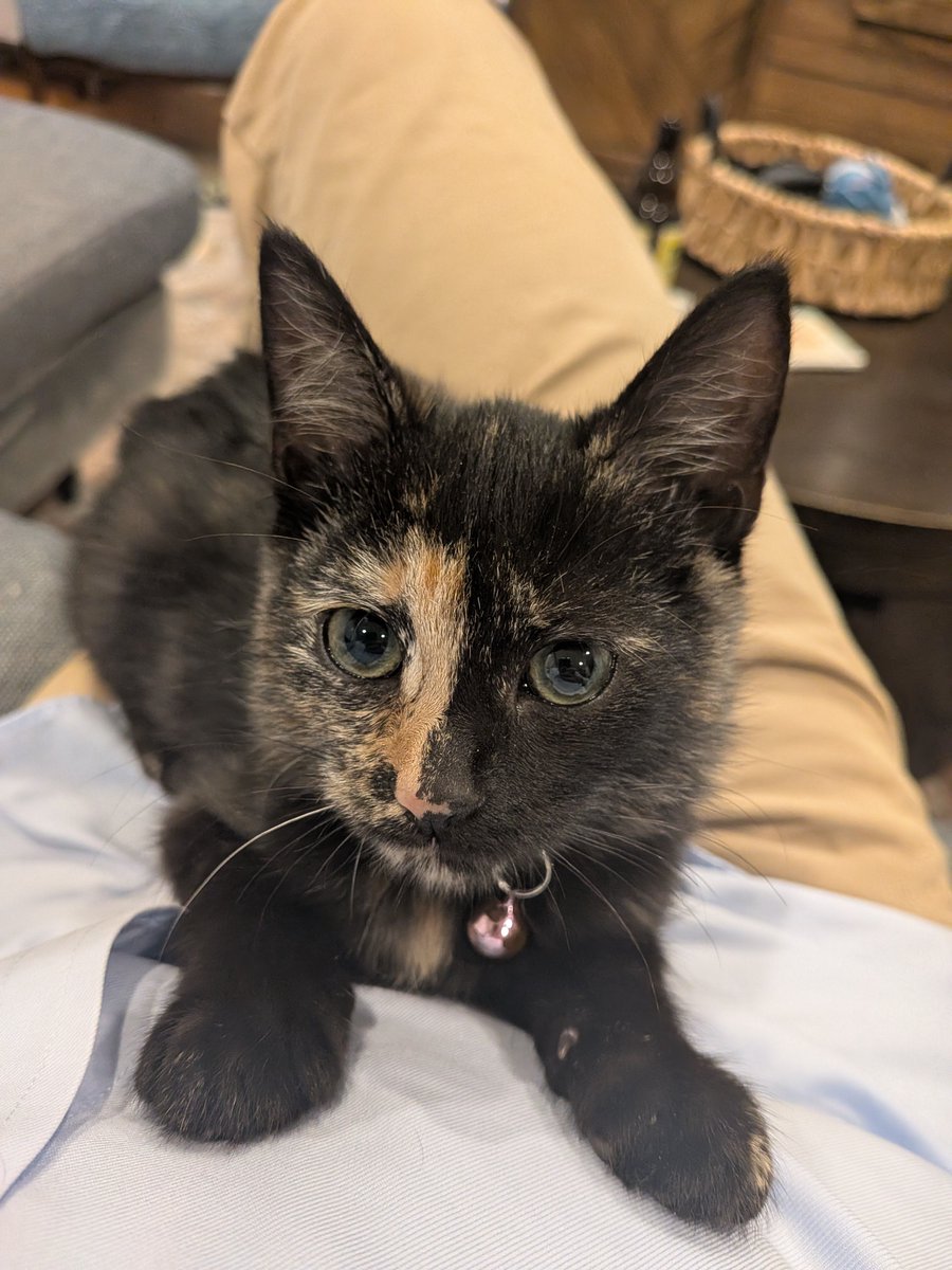 Gray Kimbrough tweet media