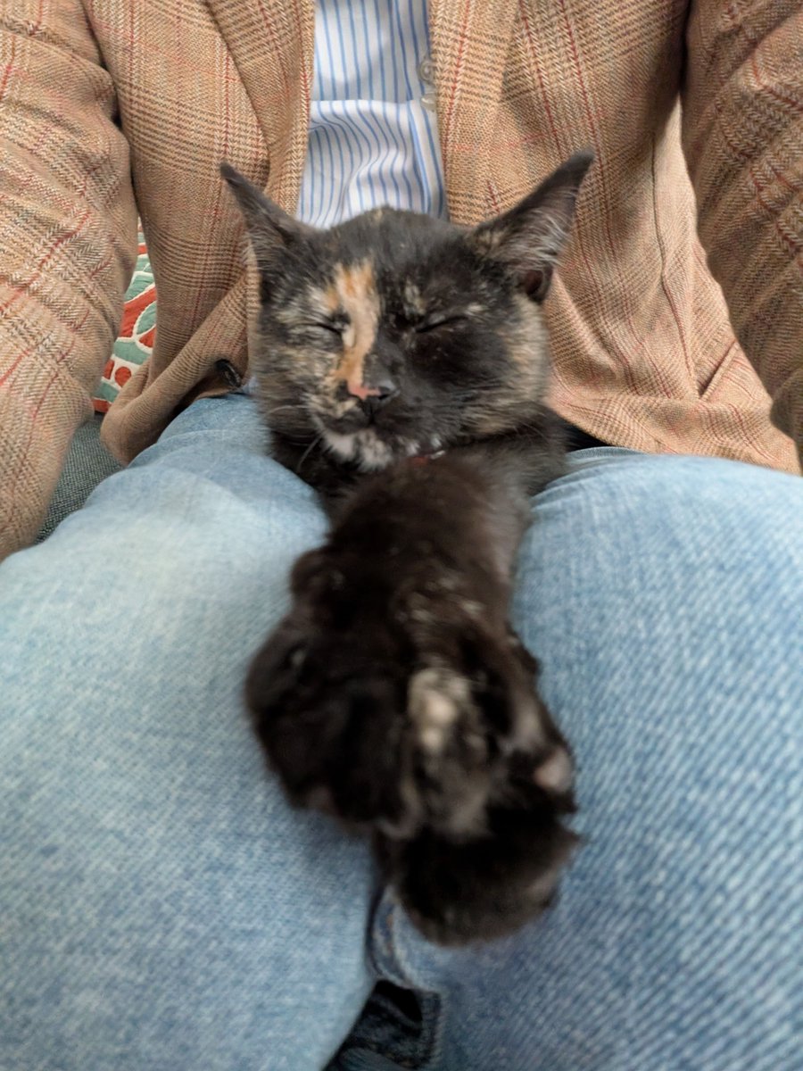 Gray Kimbrough tweet media