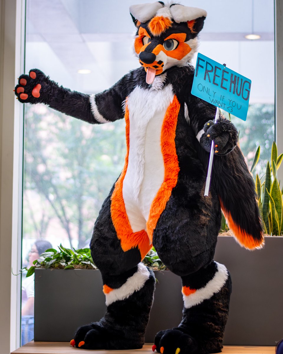 Frisky 🦨 Skuppy 🐶 ➡️ FE & AC tweet media