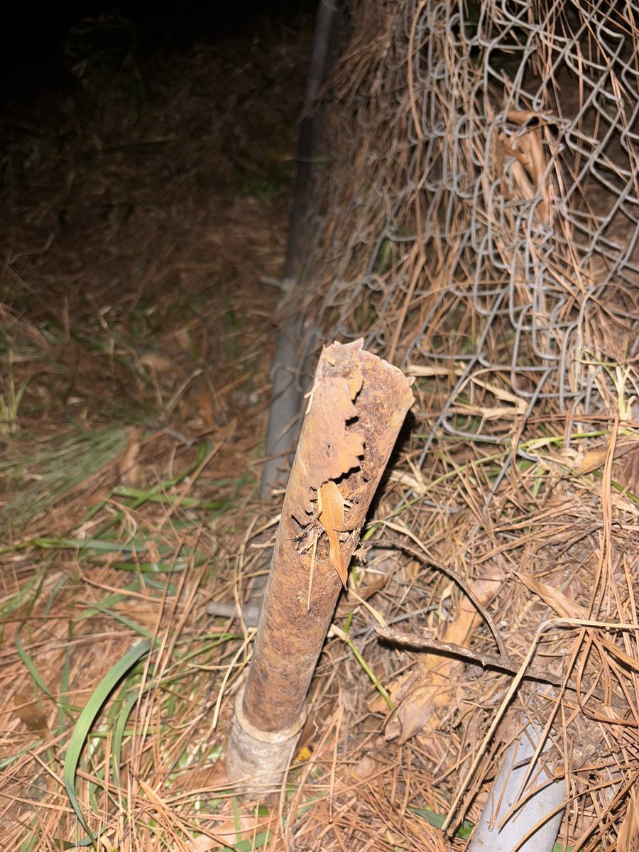 Chris ☕️ tweet media