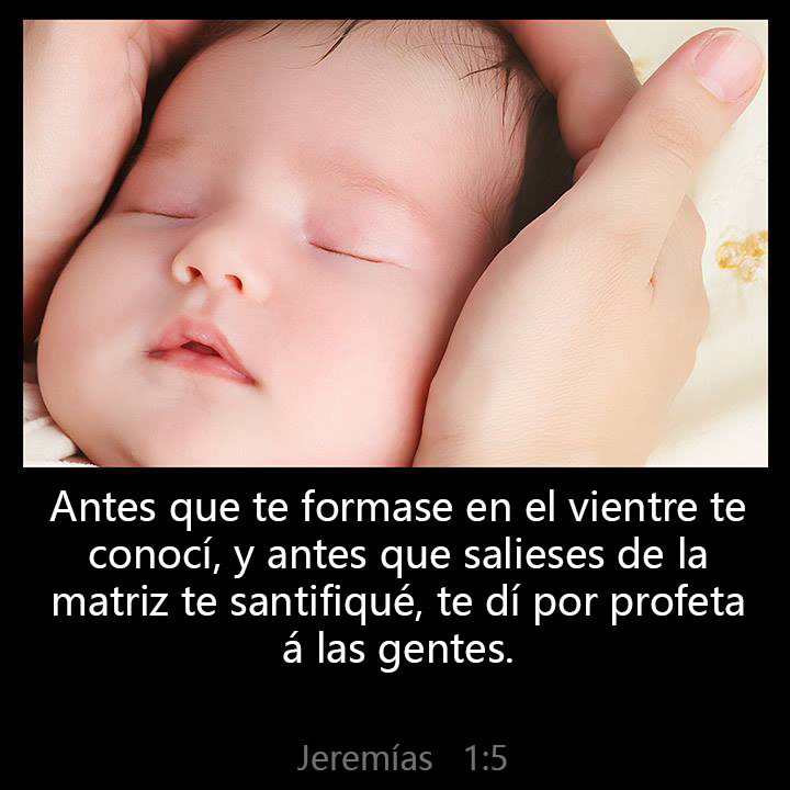 All Grace Abound tweet media