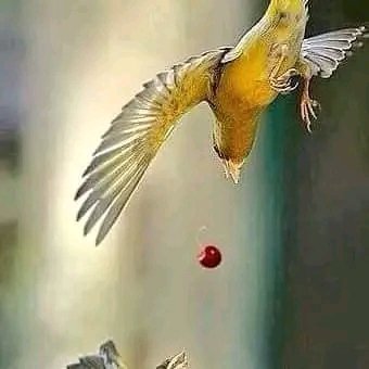 💚اَلسَلامُ عَلیکُم 🌹🕋❤
💓صبح بخیر💚 
جو “رب”کے دیئے ھوئے 
رِزق کو کافی سمجھے
وہ "زِندگی" میں کبھی
کِسی اور کا "مُحتاج" نہیں ہوتا
یا اَللّٰہ ہمہں حلال رِزق سے نواز
ہمیں کِینہ بُغض ، حَسداور دشمنوں کے
شر سے بچا۔
التجا ہے کہ ہمیں کبھی اپنے سِوا کِسی
 کا مُحتاج نہ کرنا 💜