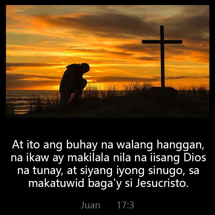 All Grace Abound tweet media