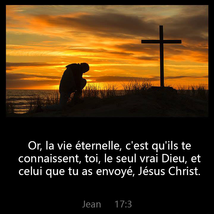 All Grace Abound tweet media