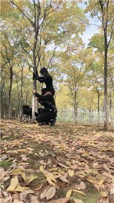 【爱丽丝】
#骑马 #女骑士 #马术 #马奴 #骑士