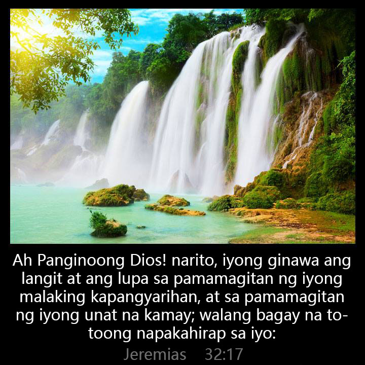 All Grace Abound tweet media