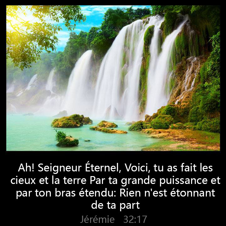 All Grace Abound tweet media