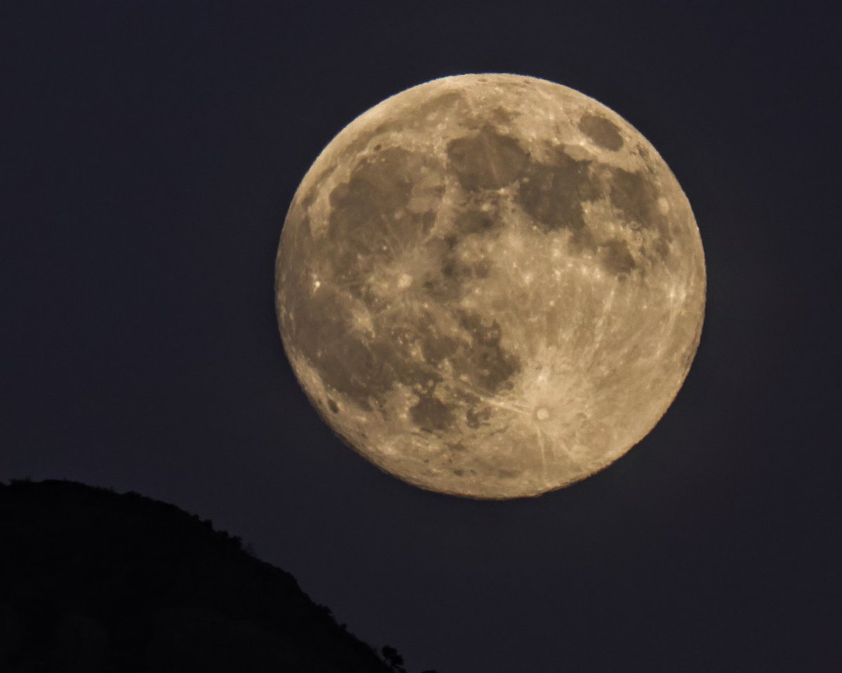 Behold the Beaver Moon.