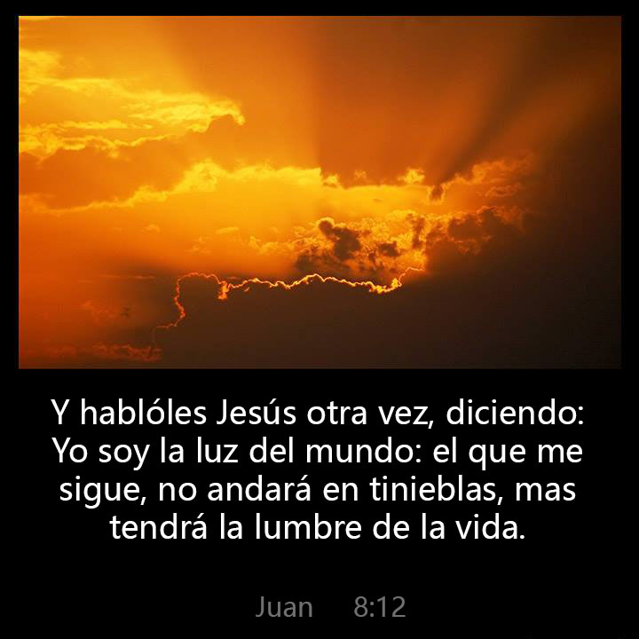 All Grace Abound tweet media