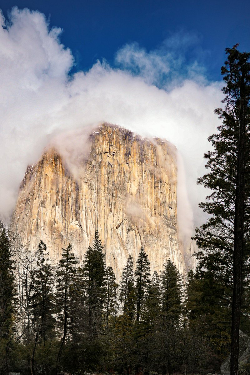 山﨑😸（実績屋さん） tweet media