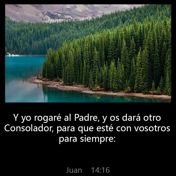 All Grace Abound tweet media