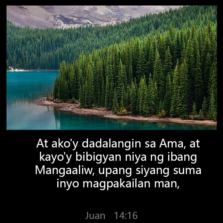 All Grace Abound tweet media