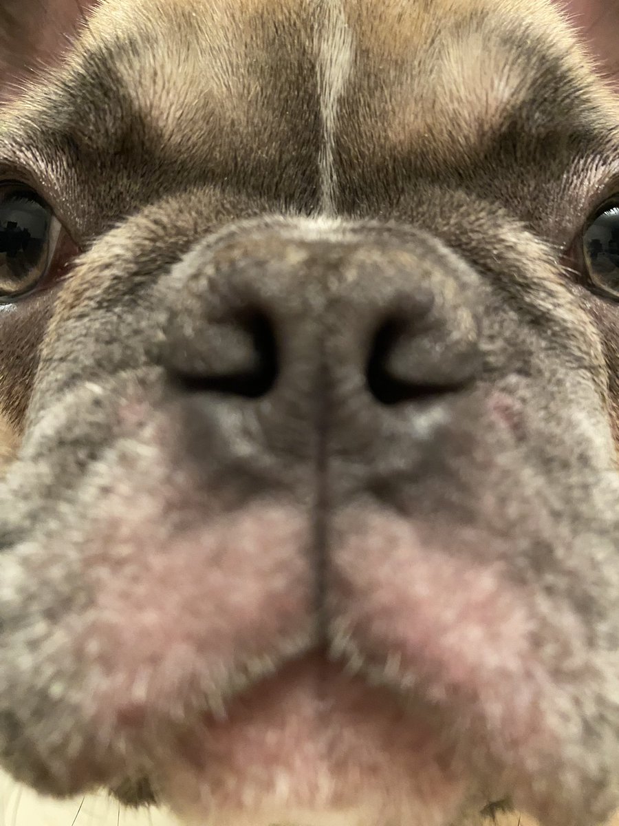 Key_Taylor's tweet image. 