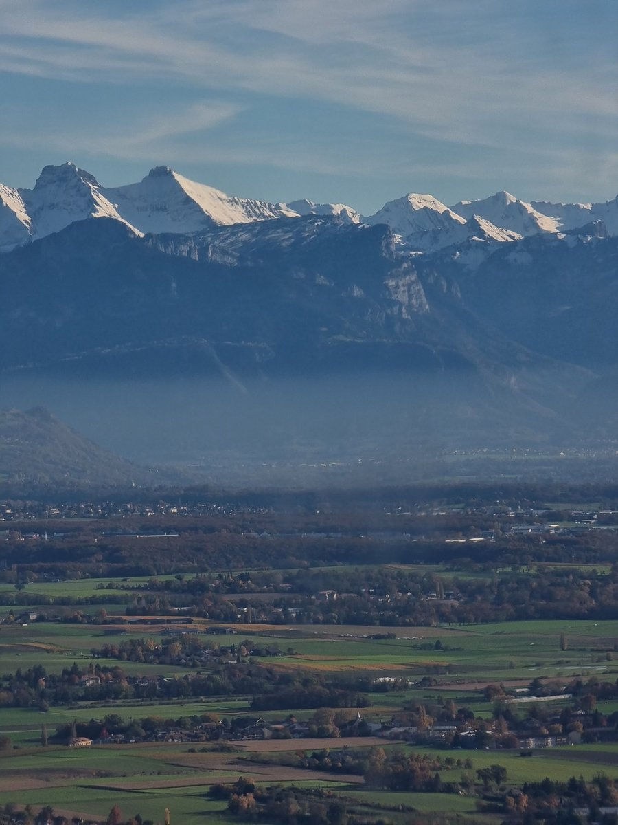 ✍️🏻🇨🇭 tweet media