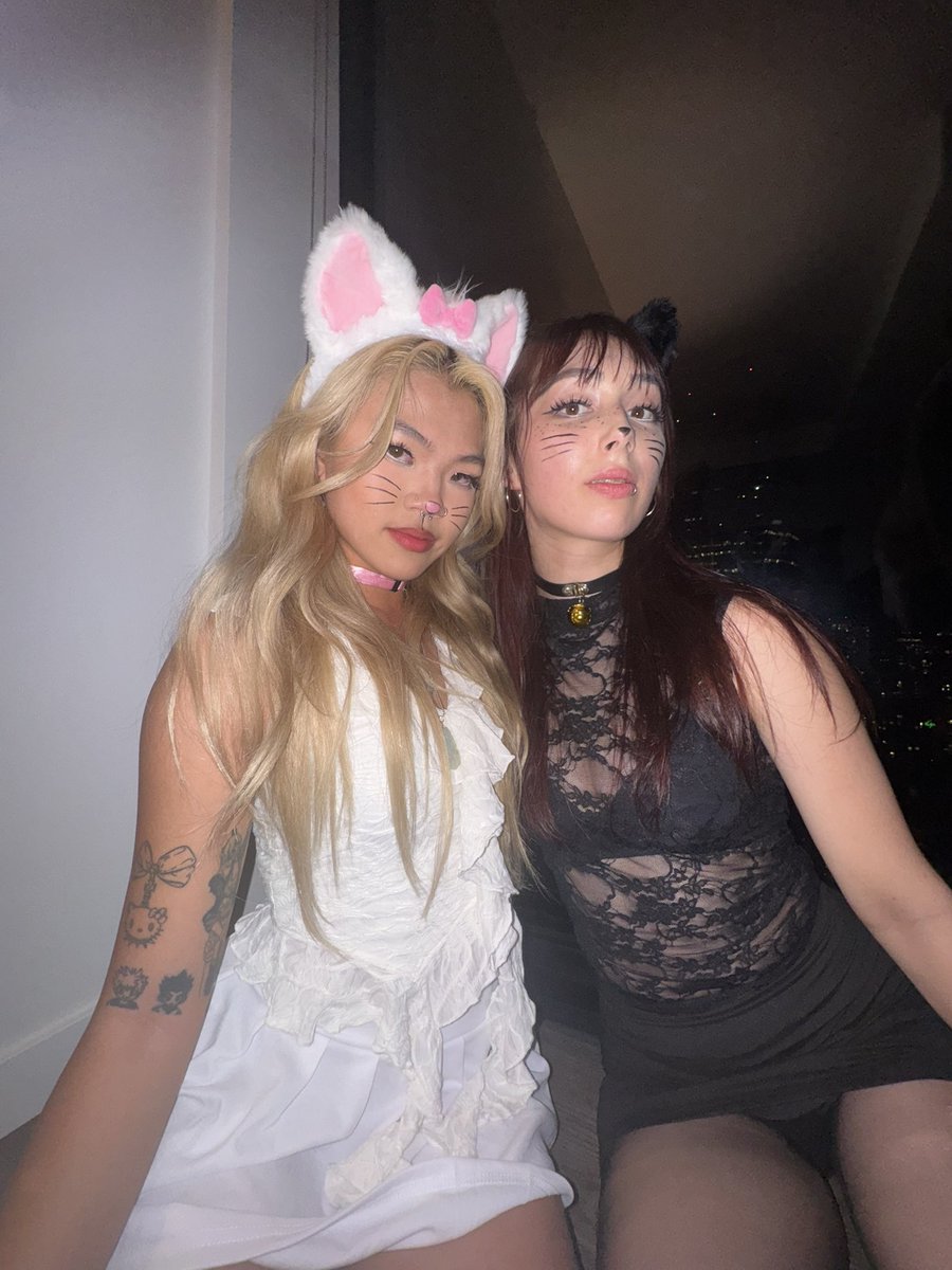 meyeow ~~~~ ≽^• ˕ • ྀི≼