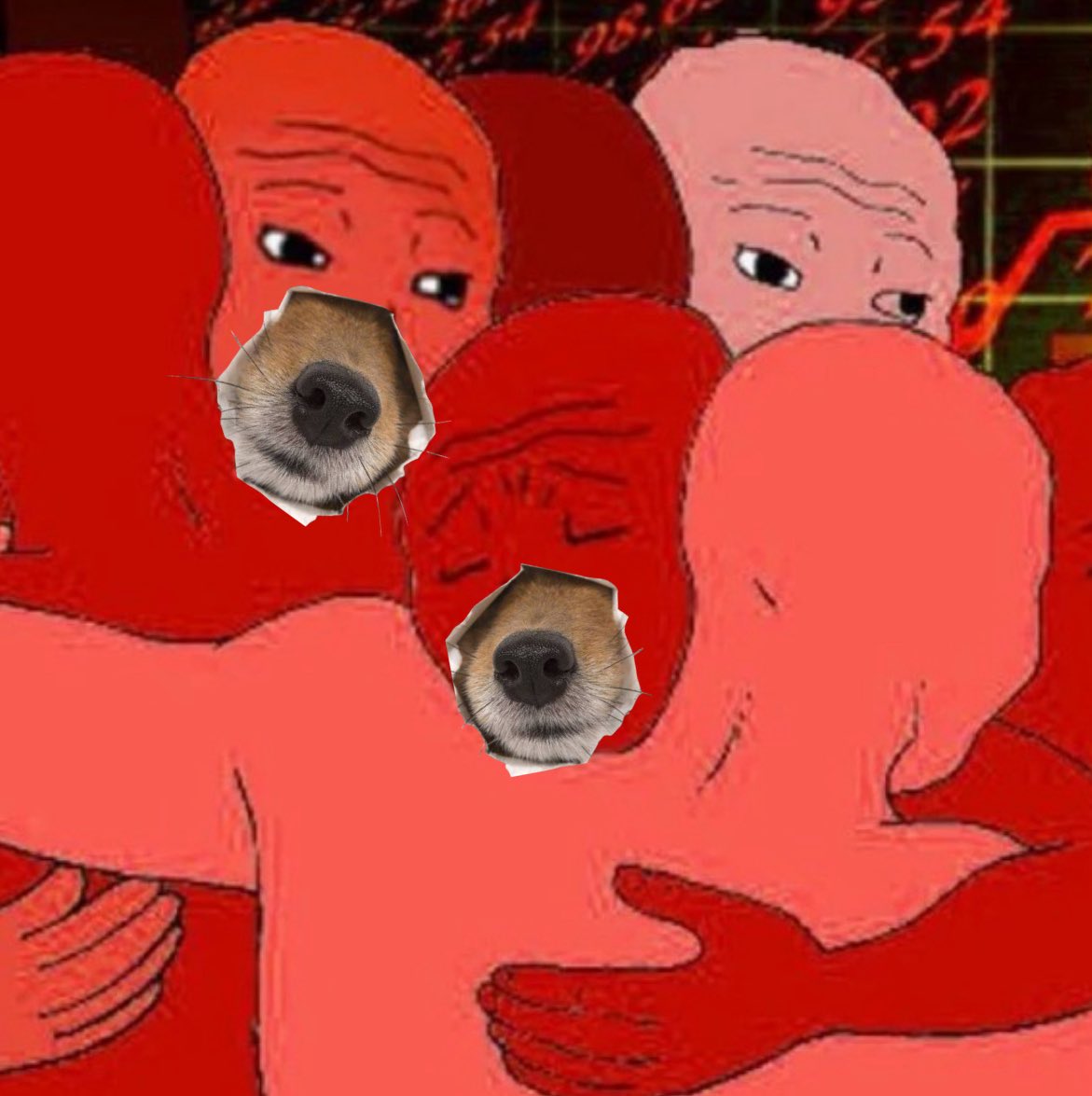 nose cto (@nose__cto) on Twitter photo 