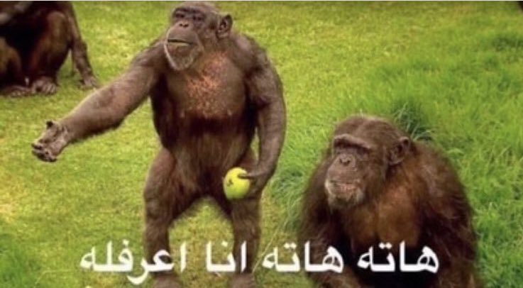 SwaggerRash's tweet photo. كورتوا اذا عرف اللي ضدنا ليڤربول
#ريال_مدريد_ليفربول https://t.co/YIHKSb0LPA