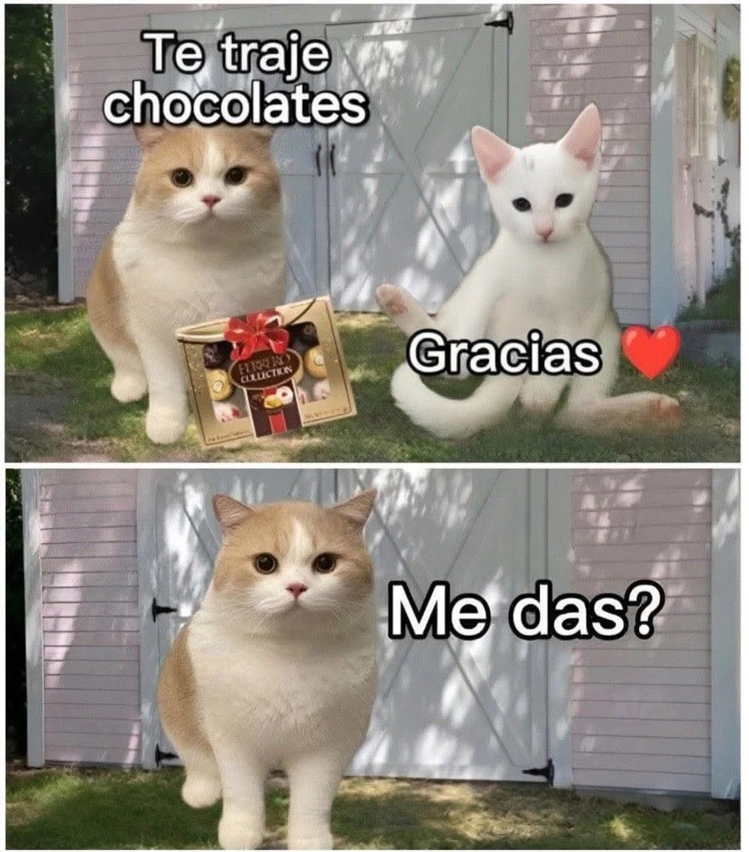 Guarromantico_'s tweet photo. Me das? https://t.co/ptVyH3zP8C