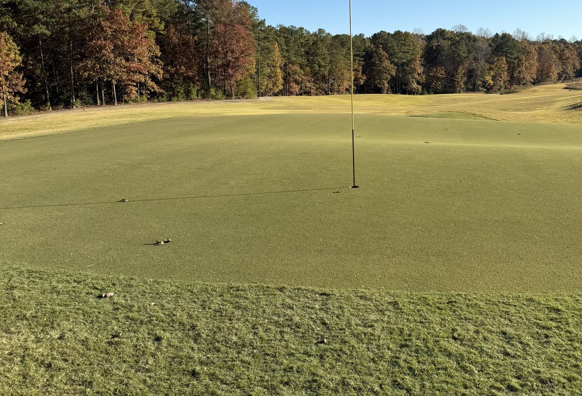 Ultradwarf bermudagrass in Virginia in November. Great work <a href="/Chad_Karr/">Chad Karr, CGCS</a> and team! #PredictN7