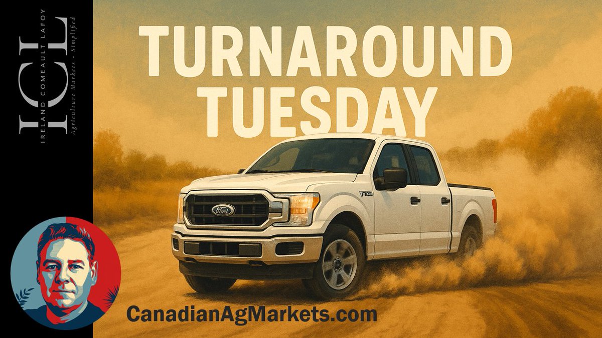 Grain markets turnaround Tuesday strikes again.  Except wheat kept going higher, and the $CAD was already on a downward path.  
#canola #wheat #soybeans #westcdnag
youtu.be/_UXBB04upKs