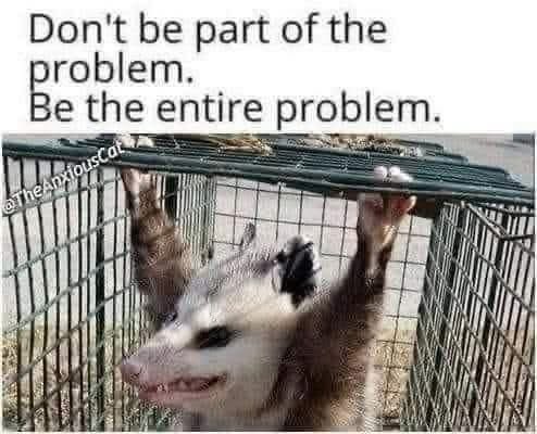 wicketcracker9's tweet image. 