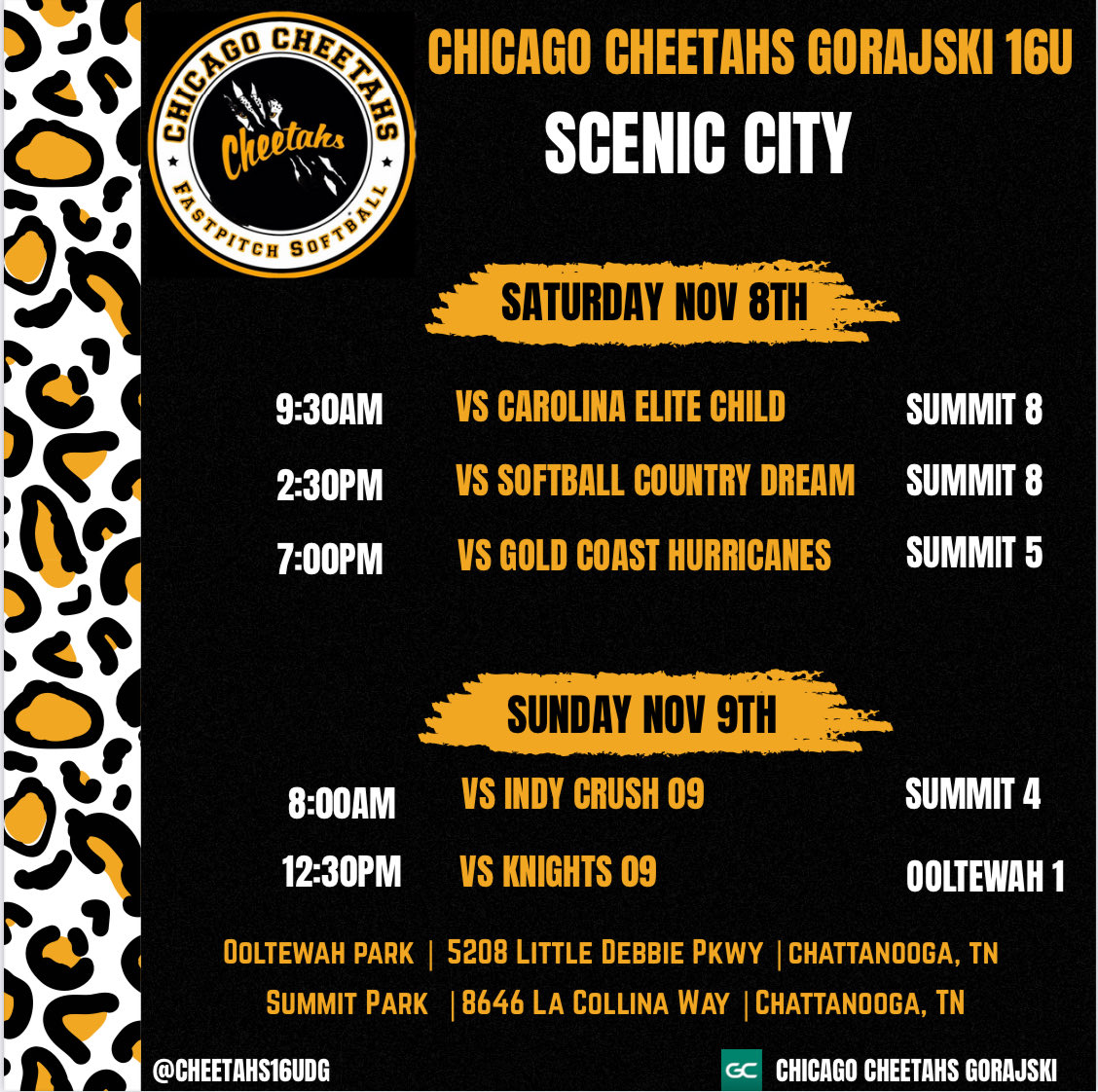 Chicago Cheetahs -Gorajski tweet media
