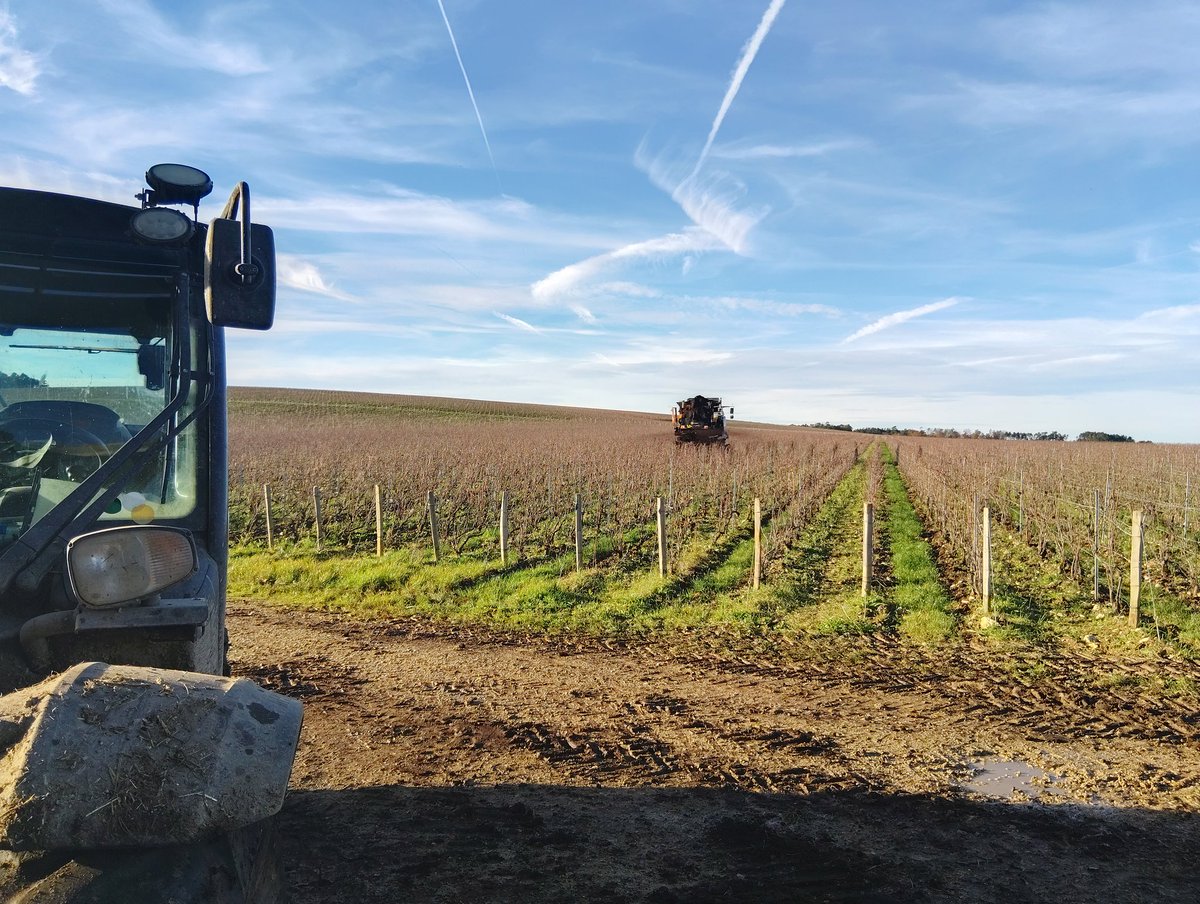 Pascal21cor's tweet image. Comme disent certains on remplit le frigo (épandage compost) que ce soit en vignes ou en céréales 
la préparation de la #recolte2026 commence déjà 
#fragtw #agriloving