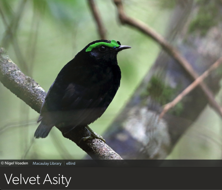 Dan Baldassarre tweet media