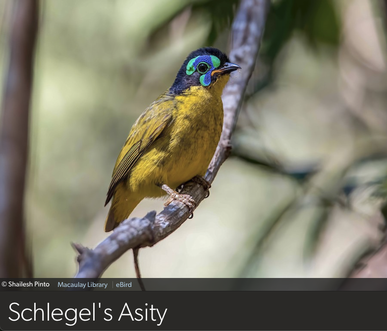 Dan Baldassarre tweet media