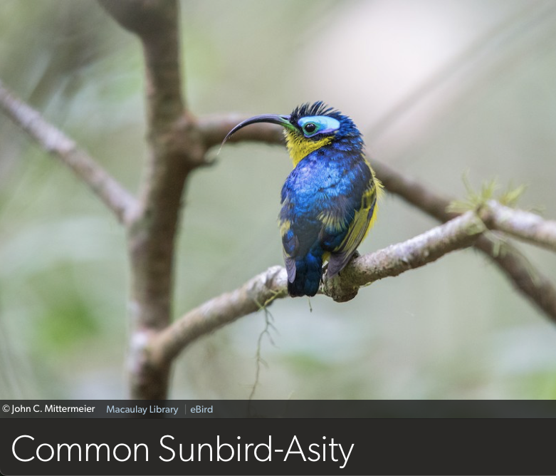 Dan Baldassarre tweet media