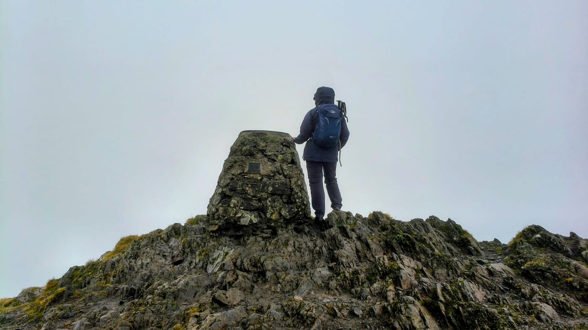 sharronlouise tweet media