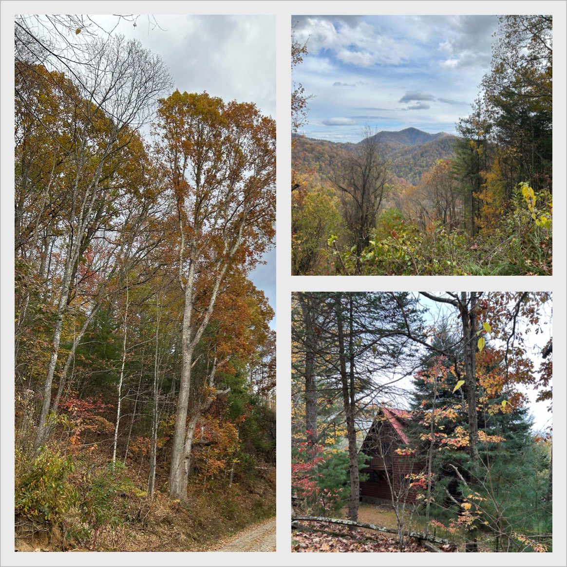 Sometimes the strength you need comes in silence.