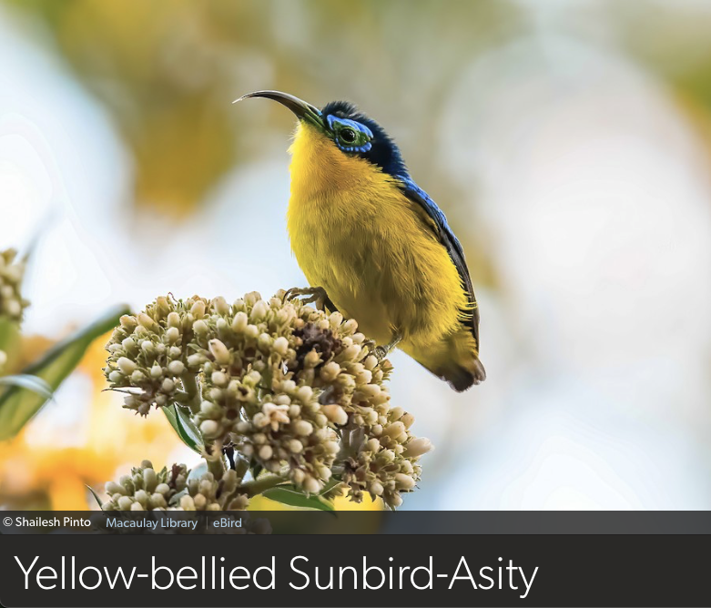 Dan Baldassarre tweet media