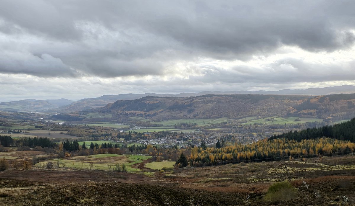 sharronlouise tweet media