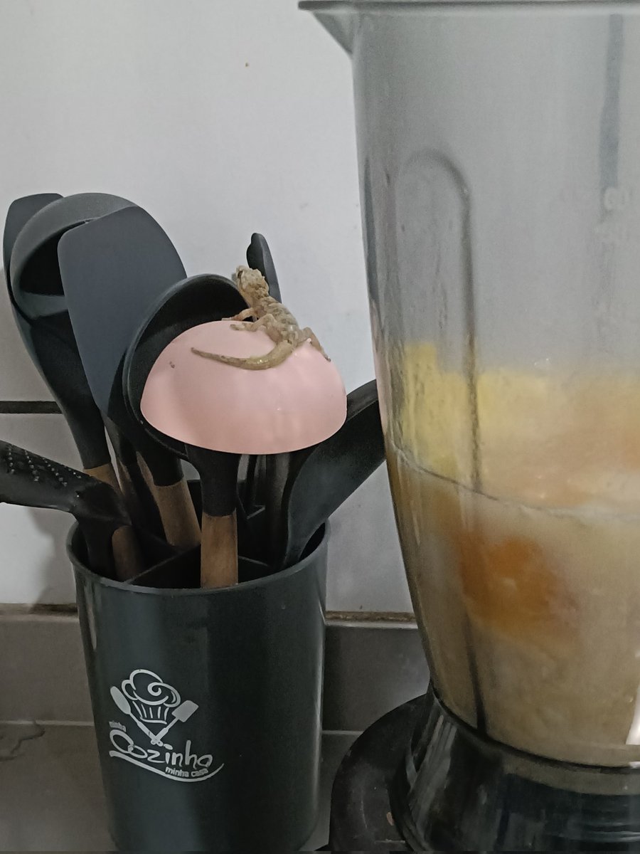 kawoshinudes's tweet image. estava toda tradwife fazendo um bolo pq minha mãe pediu e do nada CAIU UMA LARGATIXA DENTRO DA MASSA
vou ter que jogar tudo fora agora pq ela deve ter veneno.......