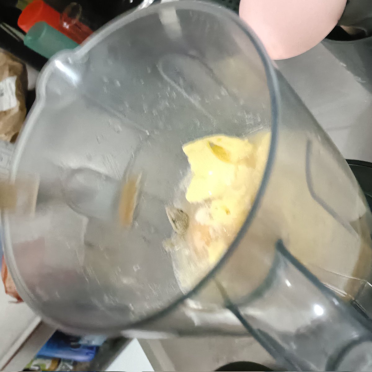 kawoshinudes's tweet image. estava toda tradwife fazendo um bolo pq minha mãe pediu e do nada CAIU UMA LARGATIXA DENTRO DA MASSA
vou ter que jogar tudo fora agora pq ela deve ter veneno.......