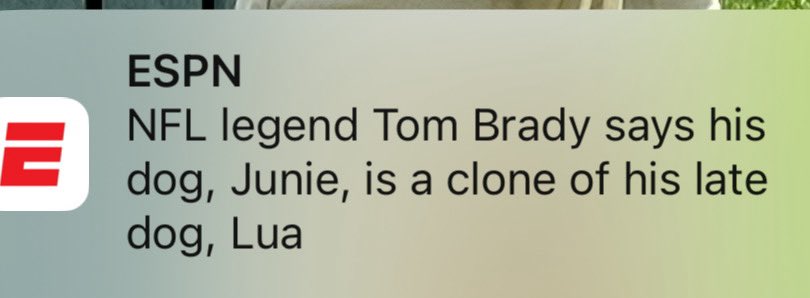 smh

white people and dogs

completely out of control