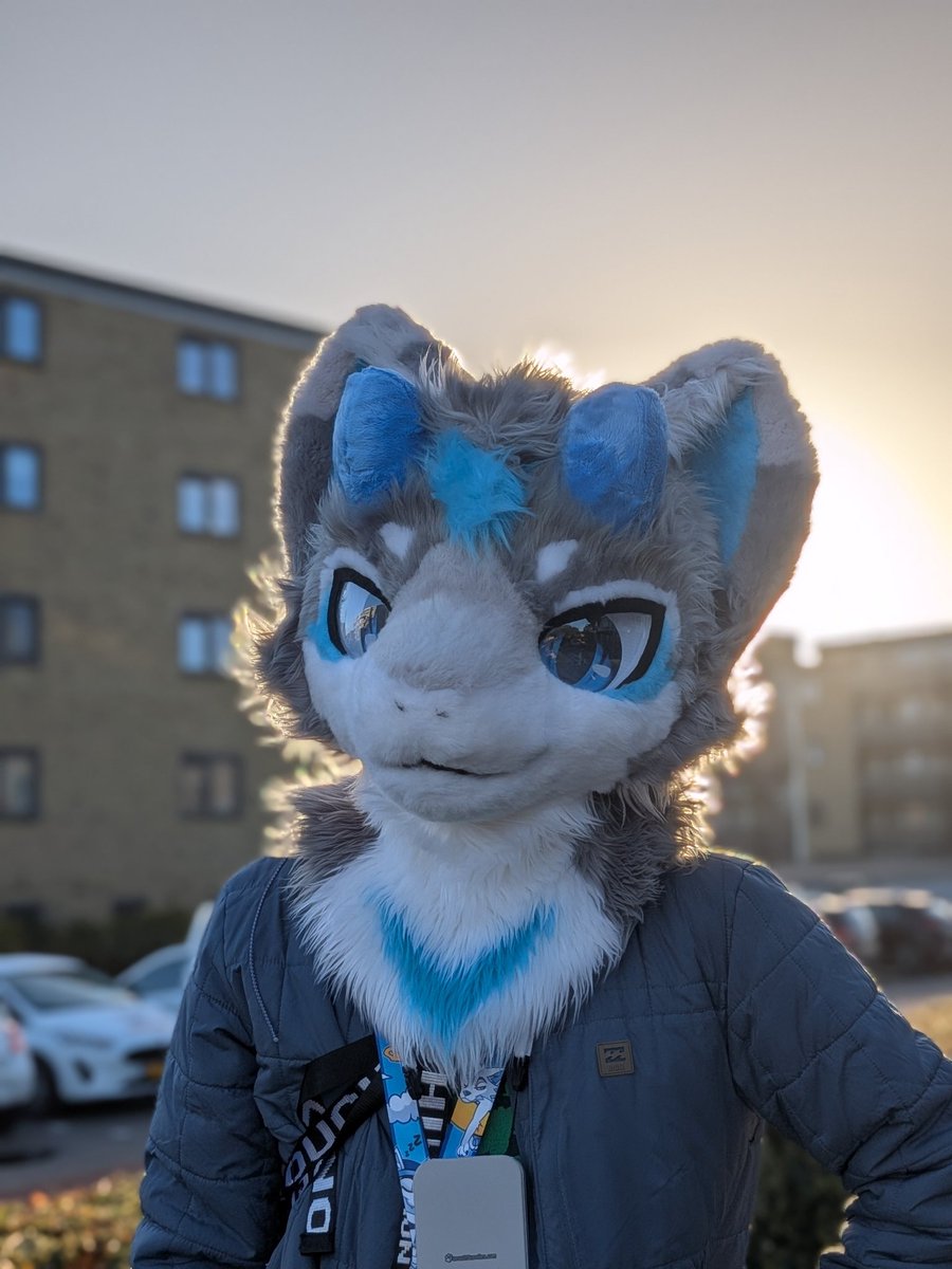 Data_Dolphin's tweet photo. Goodbye Netherlands! I'll miss you!

#reffurence https://t.co/VP7JHhOIAJ