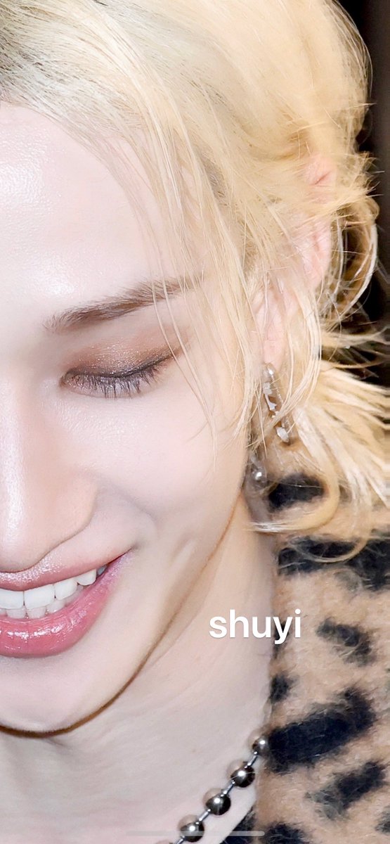 くみさん専用(バンチャン+ハン) くみさん専用(バンチャン+ハン) Stray