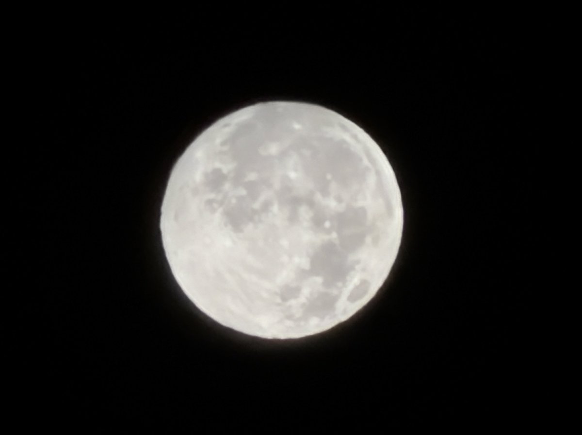 moon19ページ ぶんほー on X