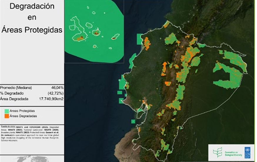 nicolasolivap's tweet photo. Degradación de las áreas protegidas. Si la naturaleza pierde derechos todo va a empeorar. https://t.co/uCE0teMVQj