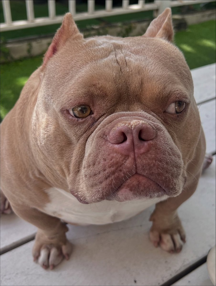 NULLISM🇲🇦 tweet media