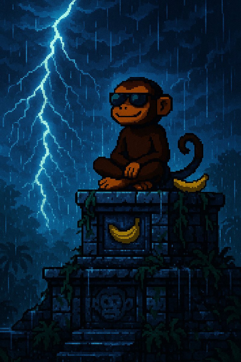 ComputerBalls_'s tweet photo. @MonkoCoin @SOLBigBrain $MONKO always calm. https://t.co/t0QOHtBMPU